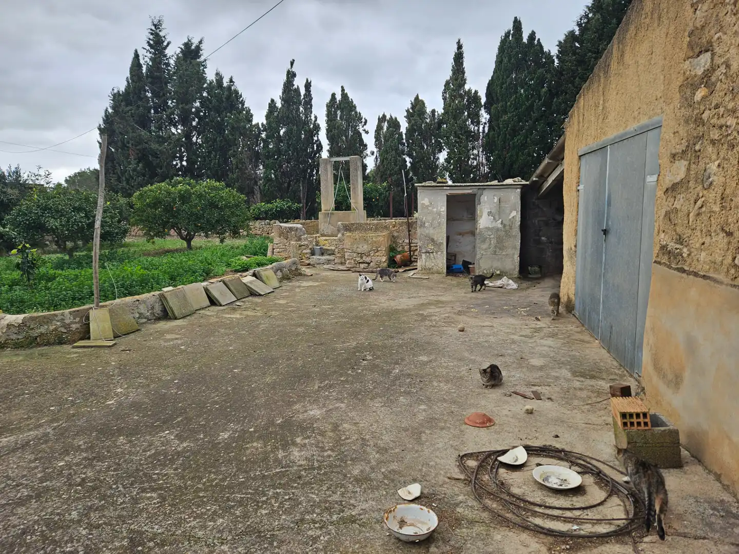 Rural land for sale in Carrer d'es Badaluc, imagen 8