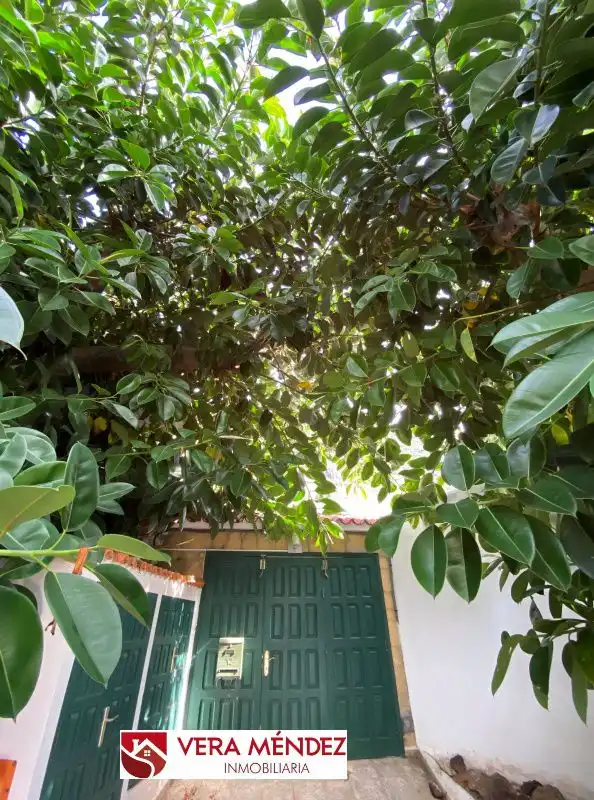 Jardí de Casa o xalet en venda en Tacoronte amb Jardí privat i Piscina