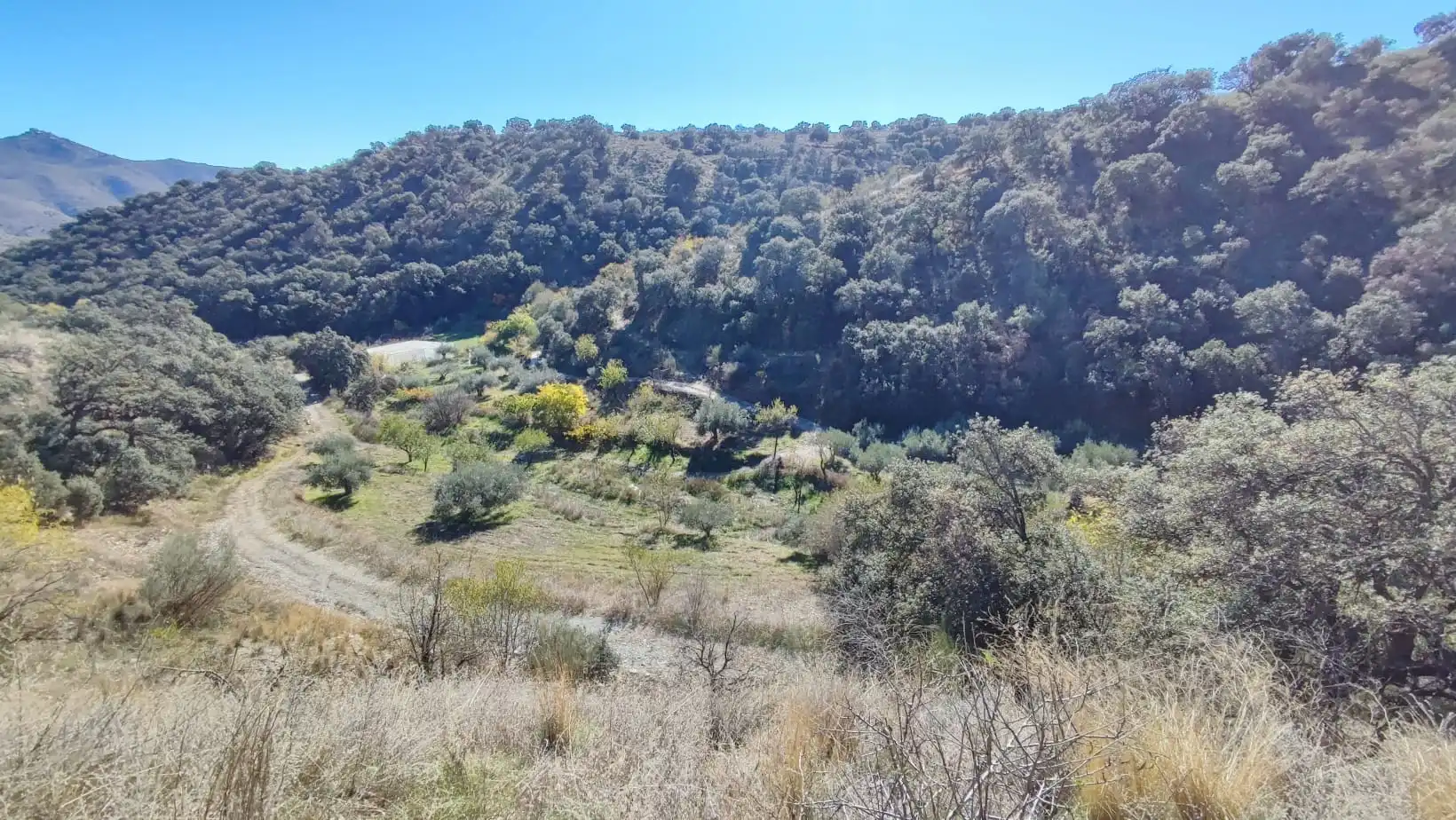 Land for sale in Alcudia de Monteagud