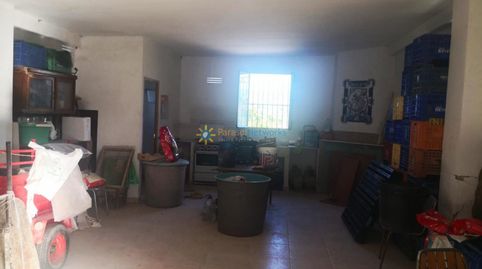 Foto 3 de Finca rústica en venda a Albaida, Valencia