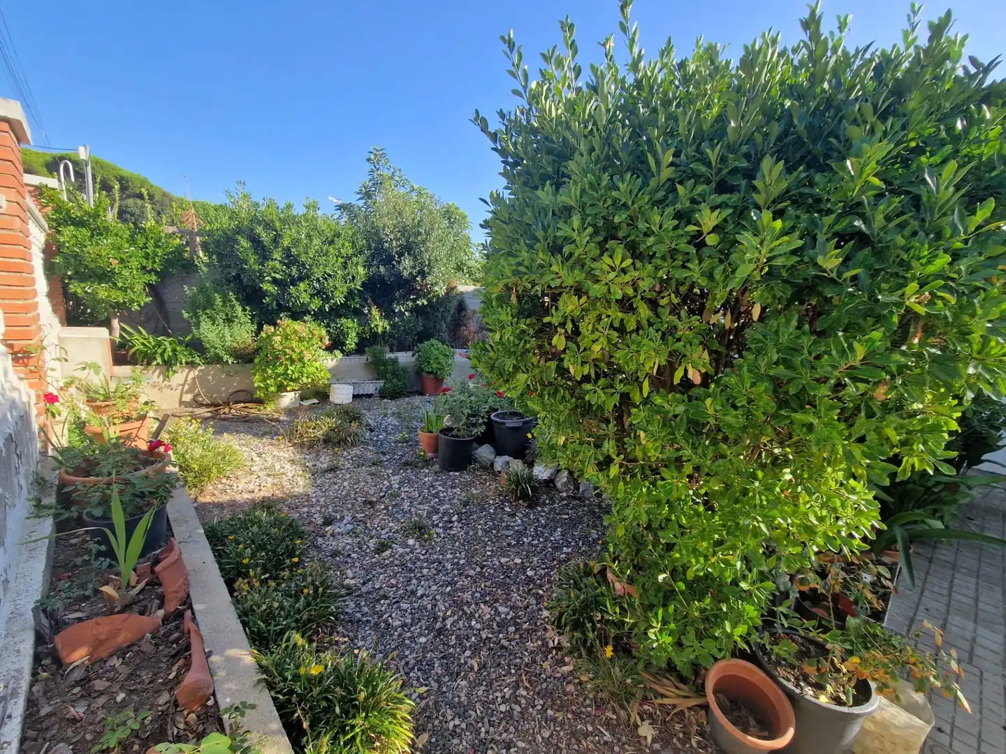 Maison à vendre à Can Massuet del Far, imagen 2