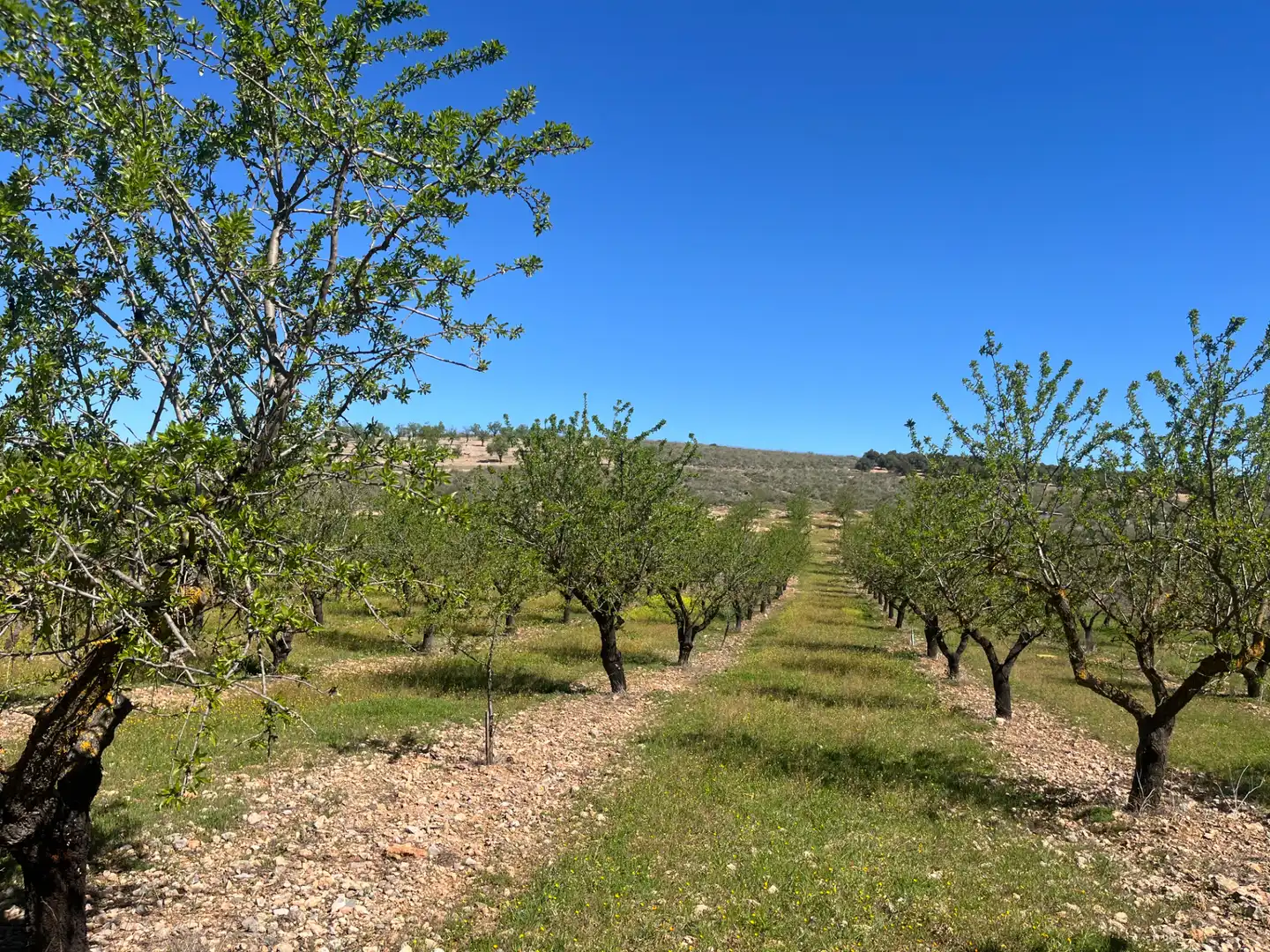 Rustikales Grundstück zum Verkauf in Camino de la Sierra, imagen 9