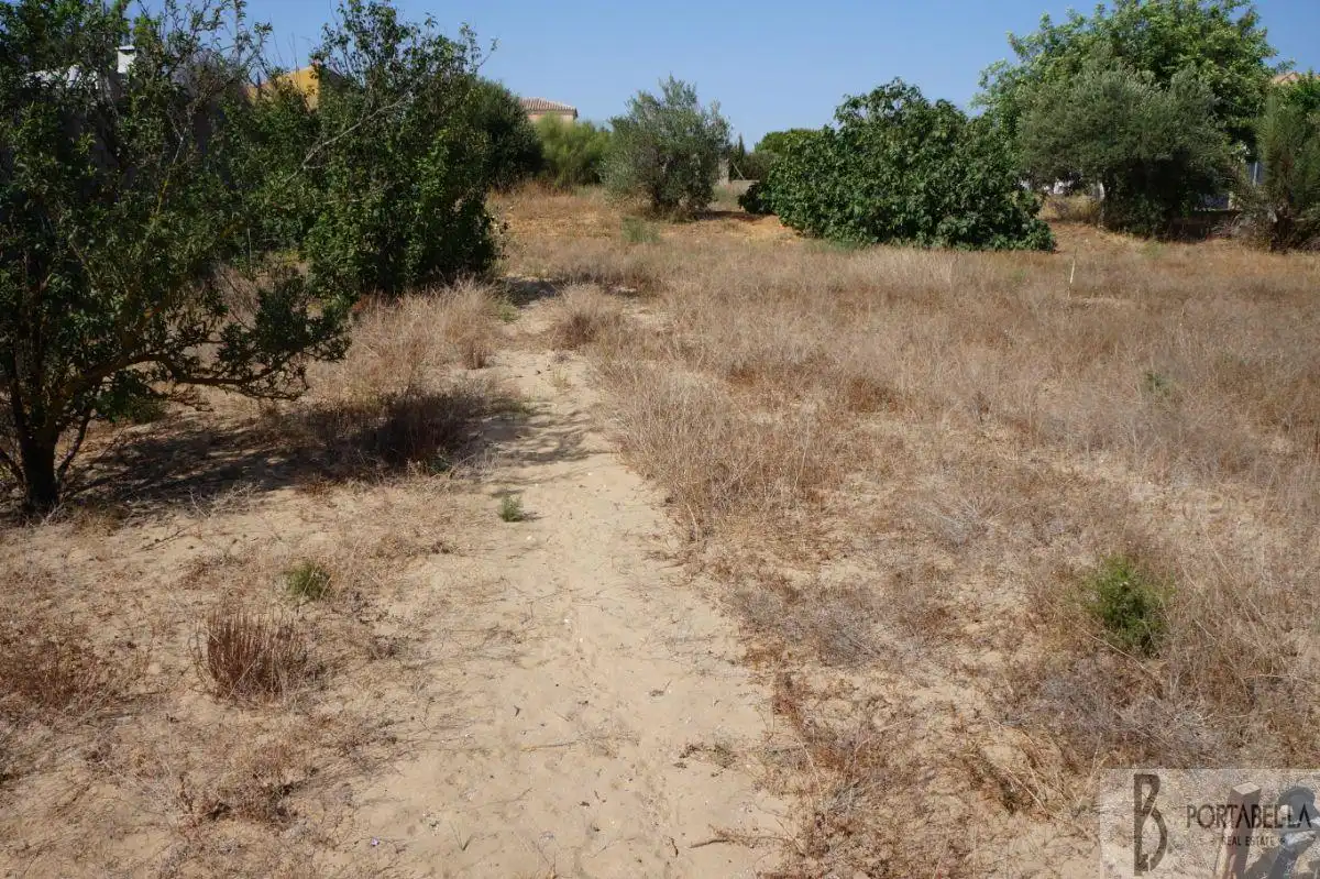 Terreny residencial en venda a Ctra Sanlúcar - Cuatro Pinos, imagen 3