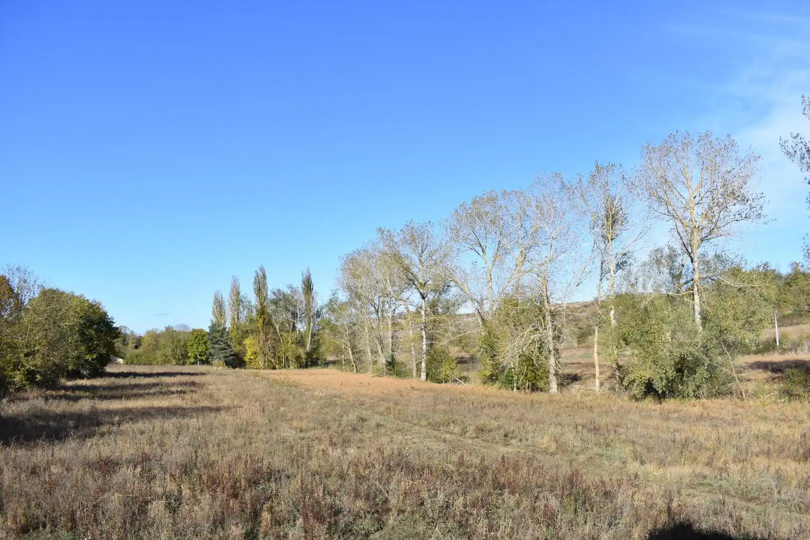 Casa en venta en Valle de Valdebezana, imagen 19