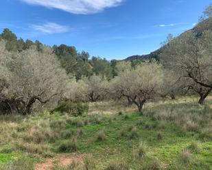 Residencial en venda a Lugar Partida Negrola, Alfara de Carles