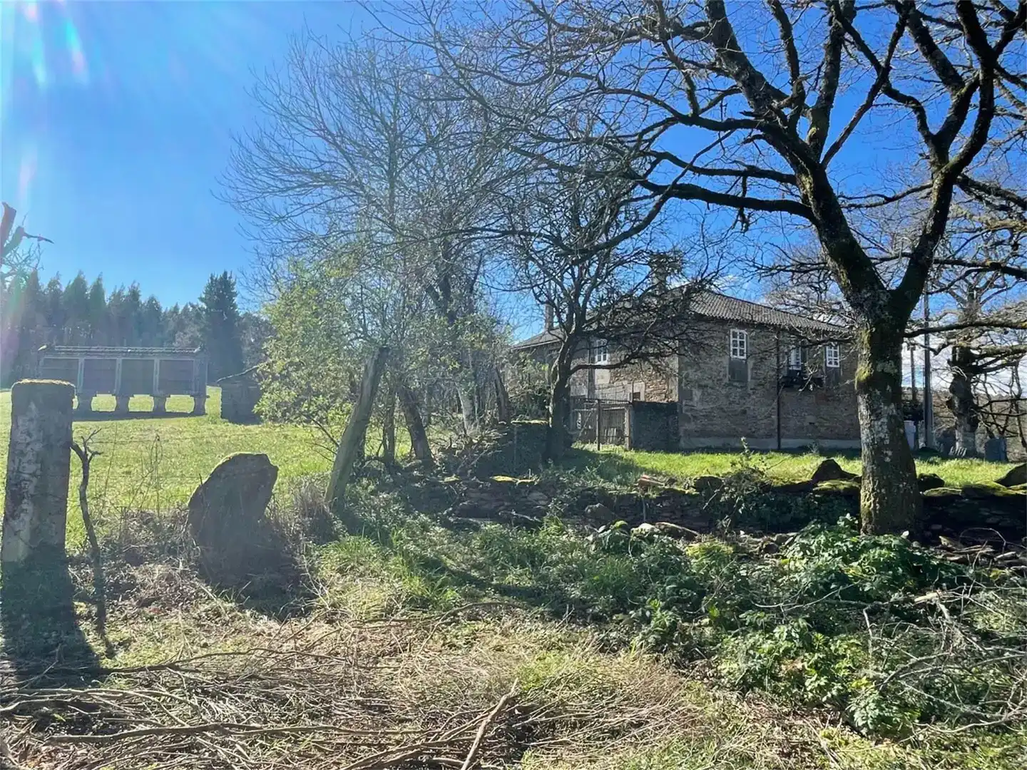 Finca rústica en venta en Lalín