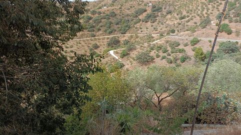 ESTUPENDA PARCELA CON VISTAS ESPECTACULARES   Y CASA DE CAMPO EN OLIAS MÁLAGA.