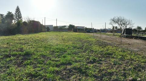 Foto 4 de Finca rústica en venda a La Jara, Sanlúcar de Barrameda