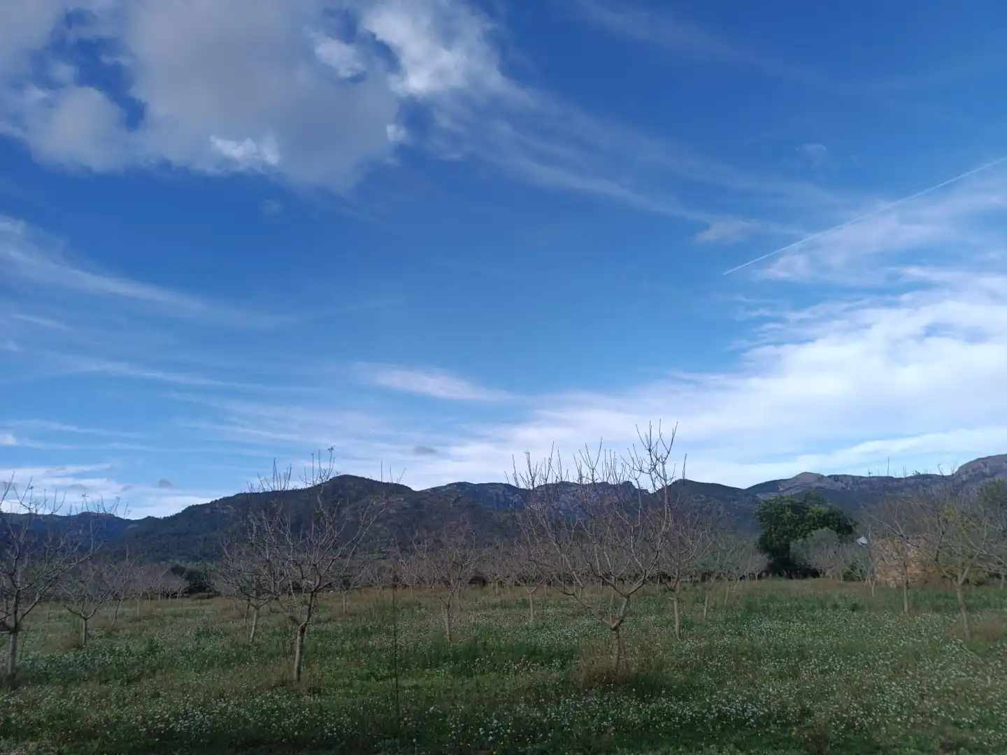 Terreny residencial en venda a Jesús - Els Reguers