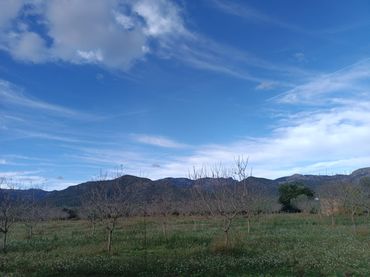 Terreno residencial en venta en Jesús - Els Reguers