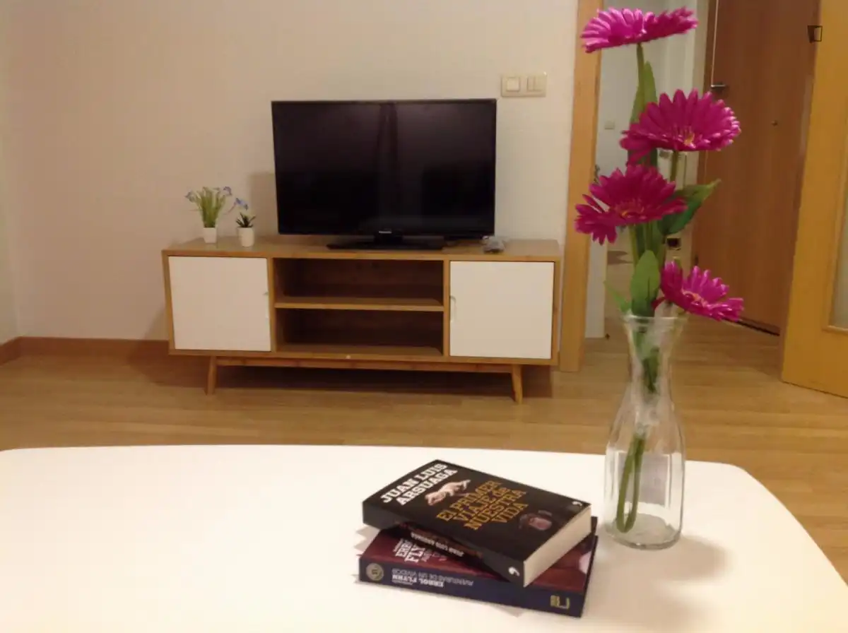 Apartament amb ascensor de lloguer a Centro, imagen 11