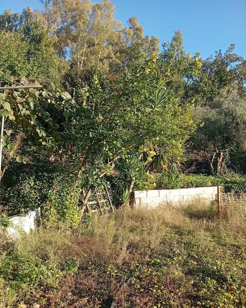 Terreni e lotti in vendita a Villanueva de la Vera, imagen 47