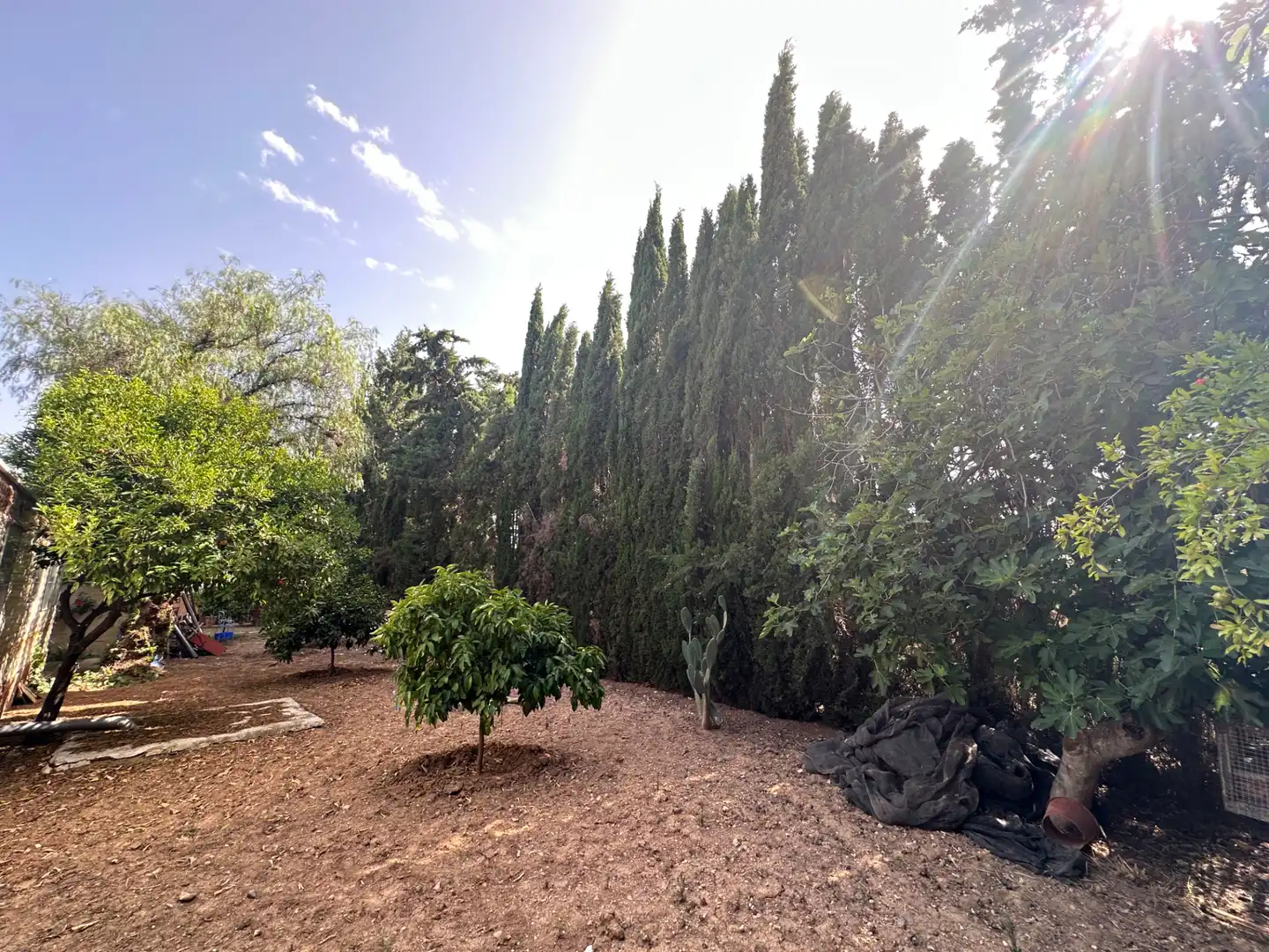 Lands and plots for sale in Centro, imagen 28