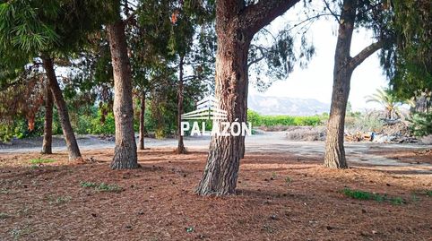 Foto 2 de Casa o chalet en venta en Albatera, Alicante