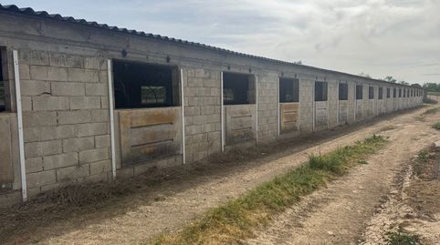 Valderrobres-Granja de cerdos con licencia, immagine 3