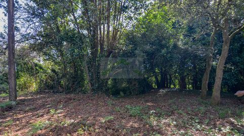 Foto 5 de Casa o chalet en venta en Carral, A Coruña