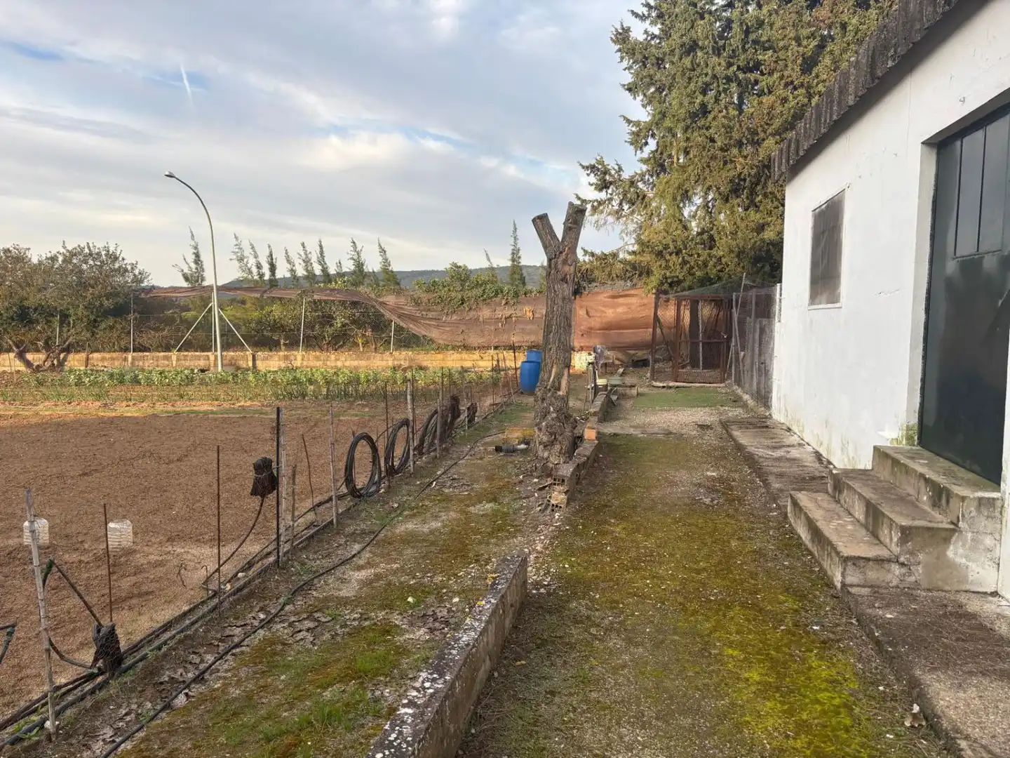 Casa rústica en venda a Arcos de la Frontera, imagen 30