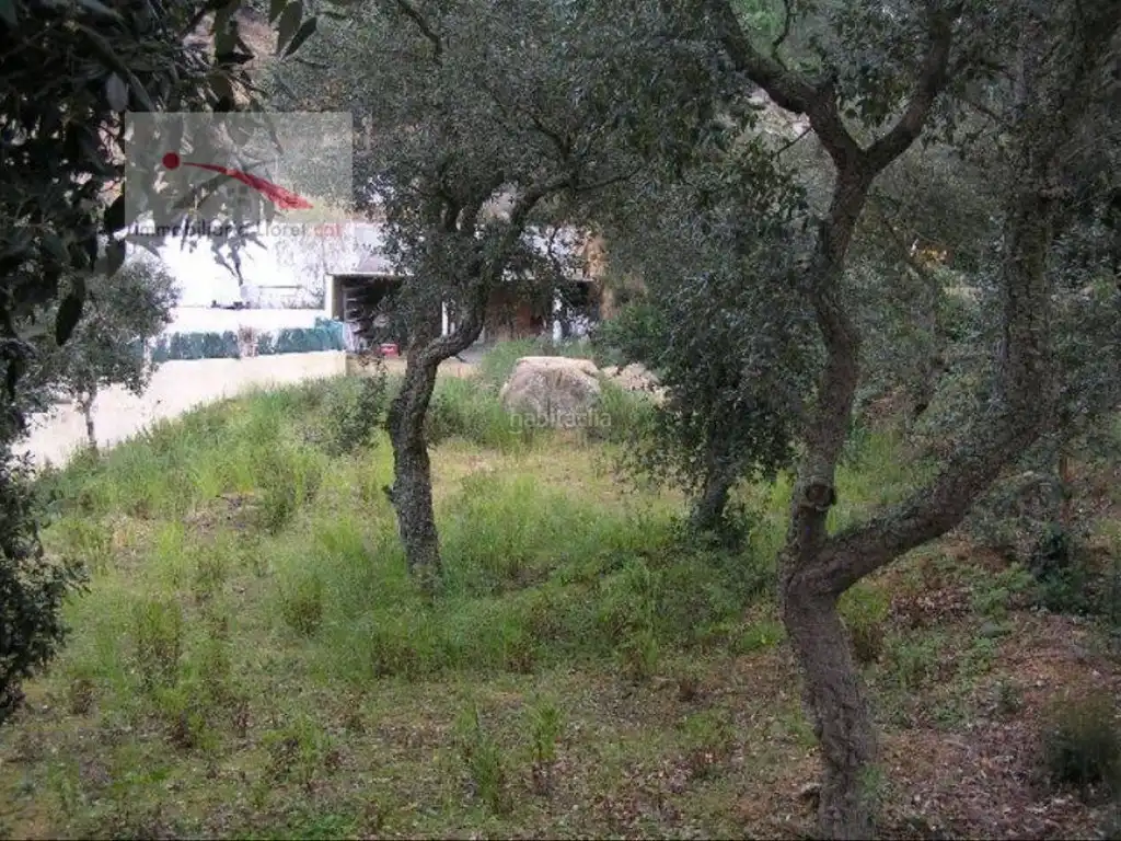 Wohnbaugrundstück zum Verkauf in Serra Brava, imagen 2