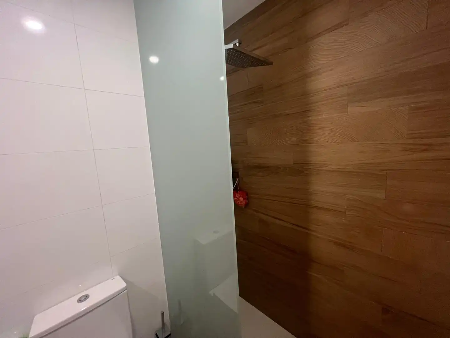Bany de Casa o xalet en venda en Ponferrada amb Jardí privat i Moblat