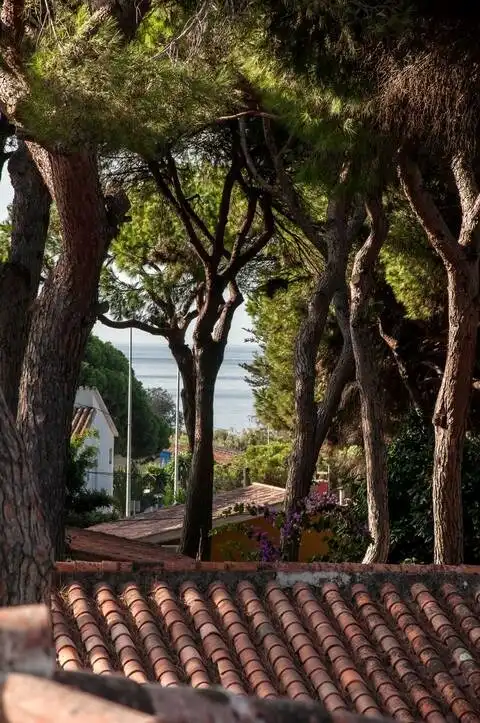 Casa o chalet en venta en URBANIZACION LOS PINOS, El Rosario - Ricmar