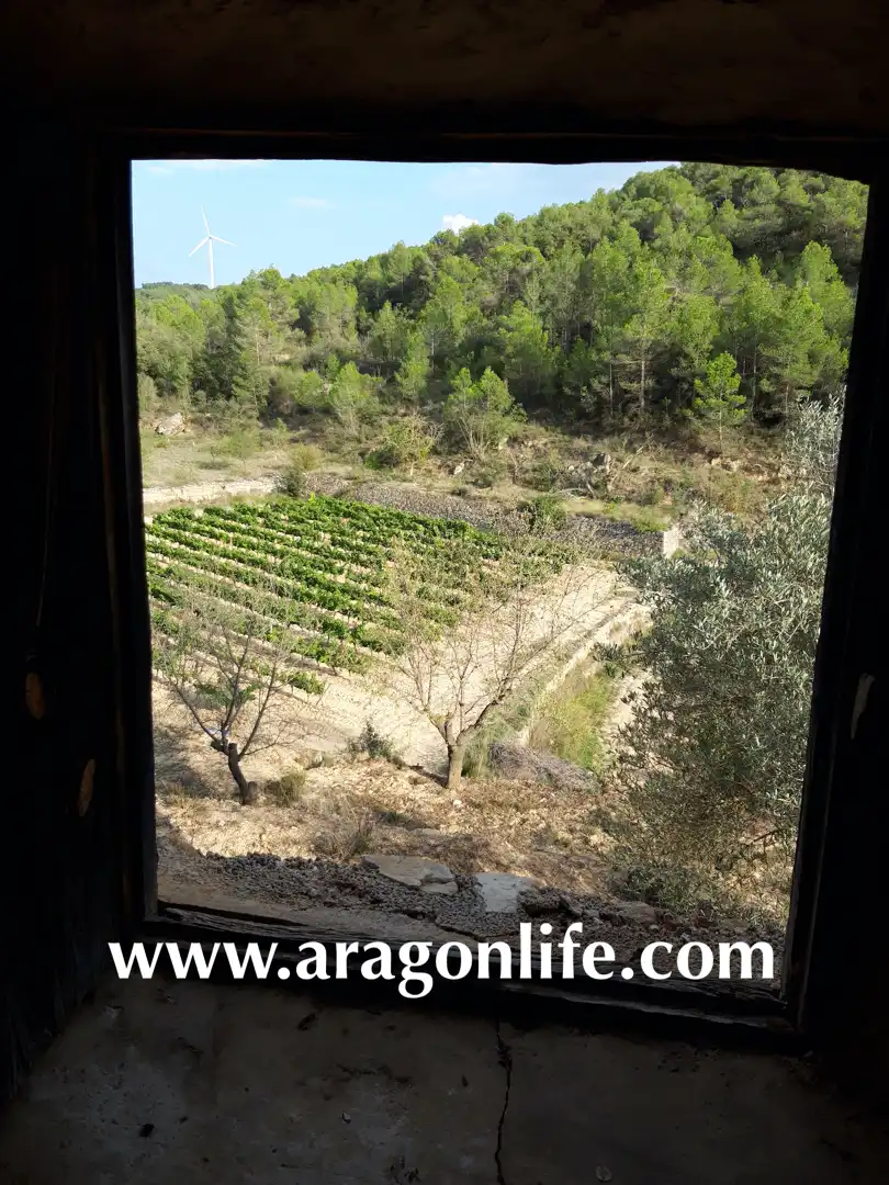 Finca rústica en venda en Caseres