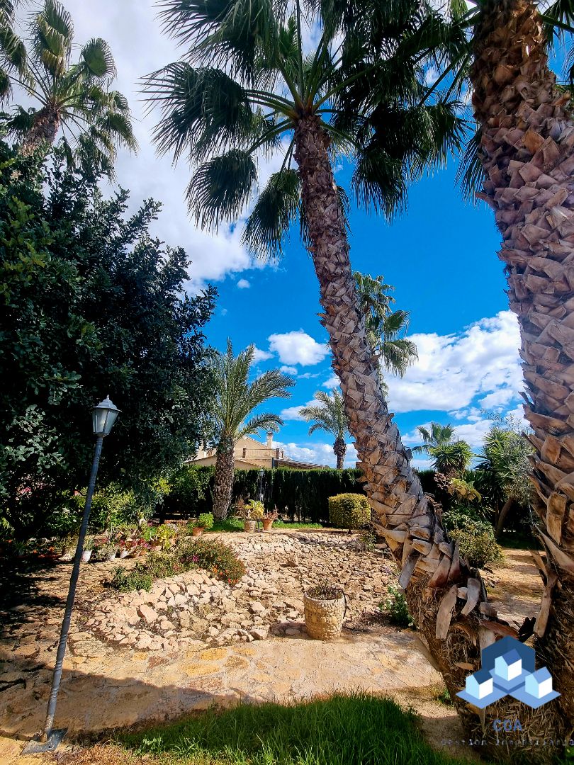 Jardí de Casa o xalet en venda en Lorca amb Aire condicionat, Calefacció i Jardí privat