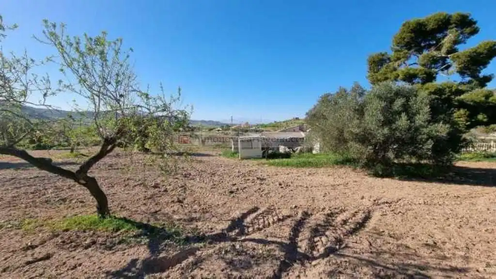 Terreni e lotti in vendita a Pedanías Oeste, imagen 3