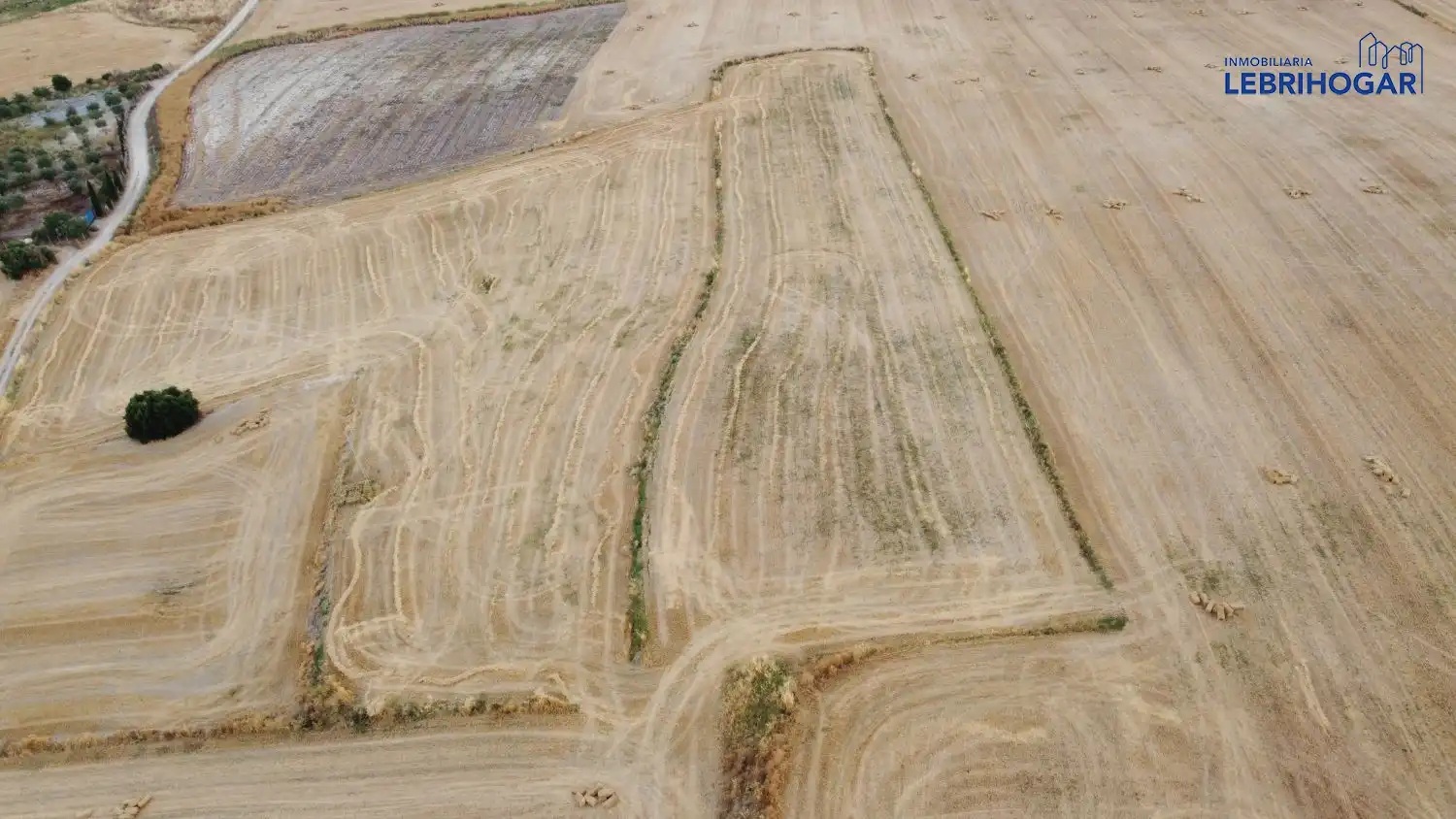 Lands and plots for sale in Lebrija, imagen 5