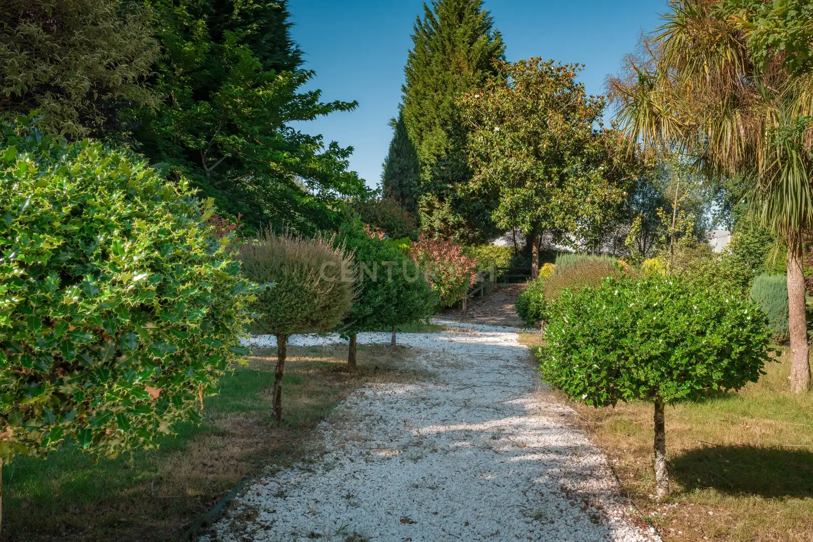 Jardí de Edifici en venda en Frades