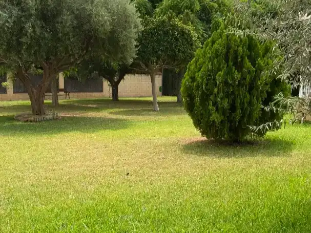 Flat for sale in Pueblo Español - Coveta Fumá