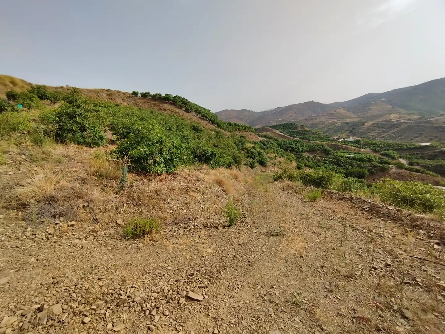 Terreno rustico in vendita a Diseminado Real Alto, imagen 15