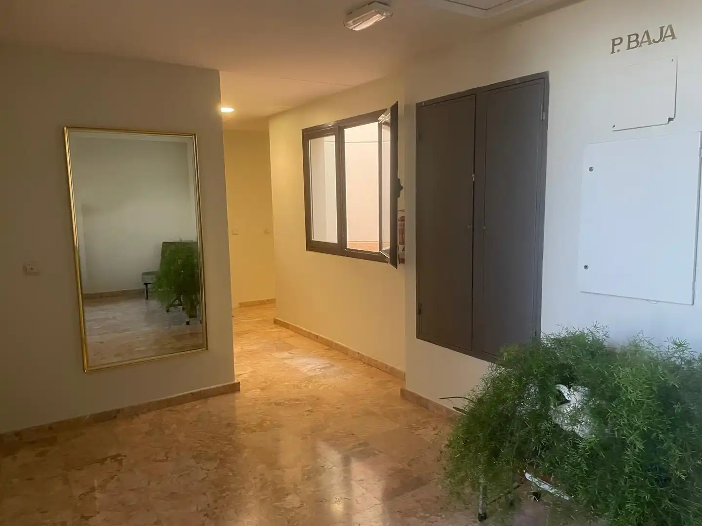 Planta baja en venta en Pozuelo de Calatrava con Terraza