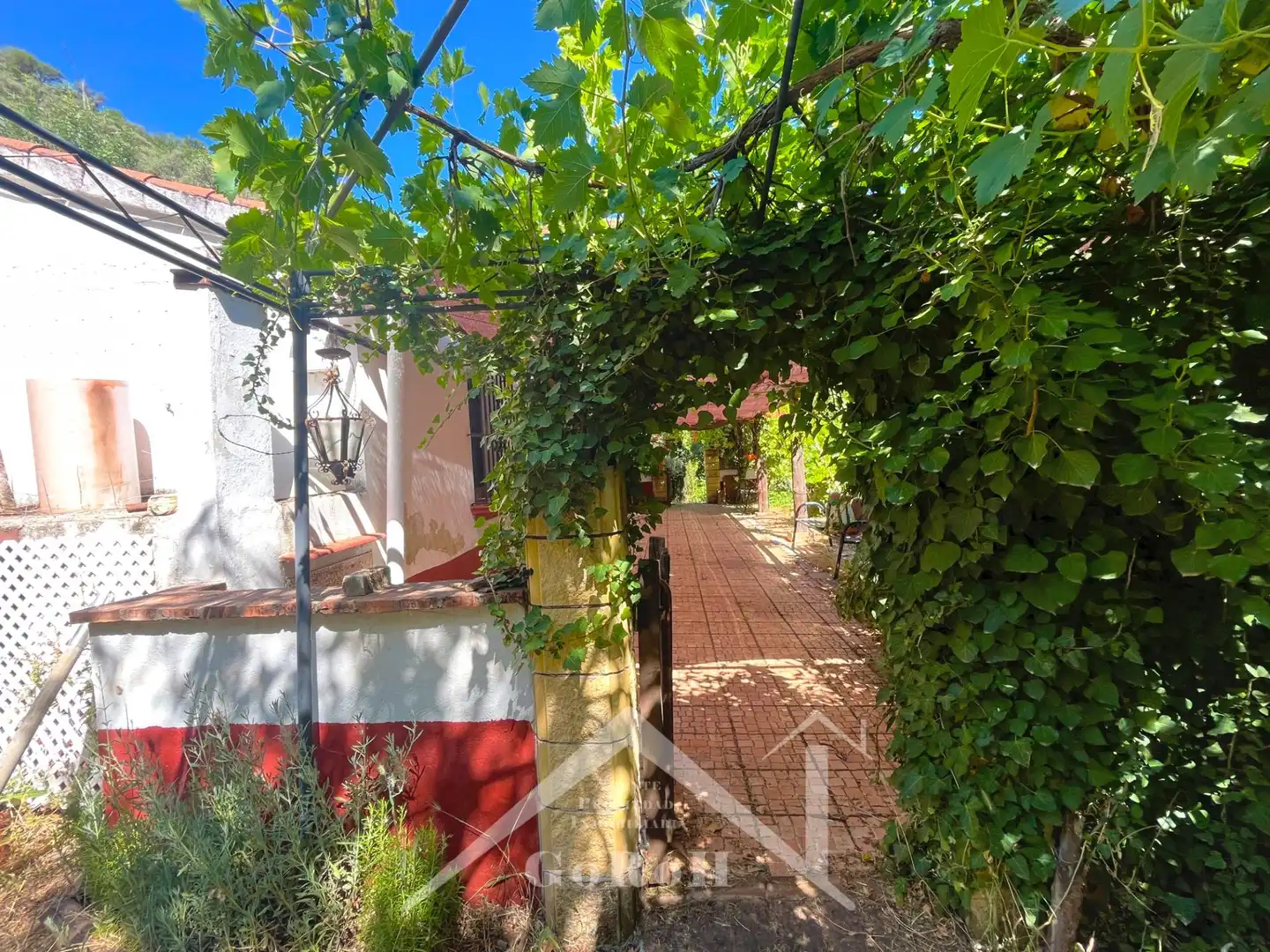 Garten von Grundstücke zum Verkauf in Constantina
