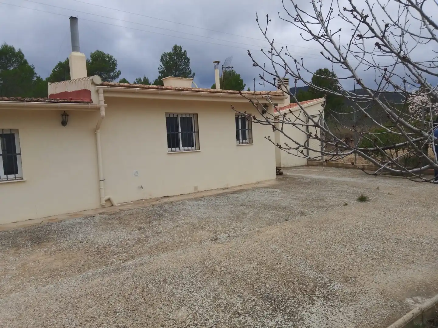 Vista exterior de Casa o xalet en venda en Tibi amb Jardí privat, Terrassa i Moblat
