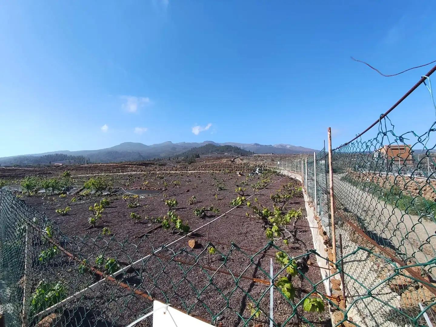 Terreno en venta en Vilaflor de Chasna