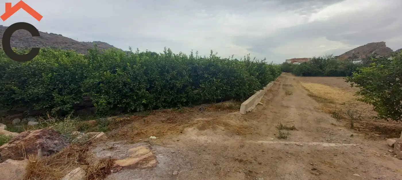 Terreny rústic en venda a Pedanías Norte, imagen 5