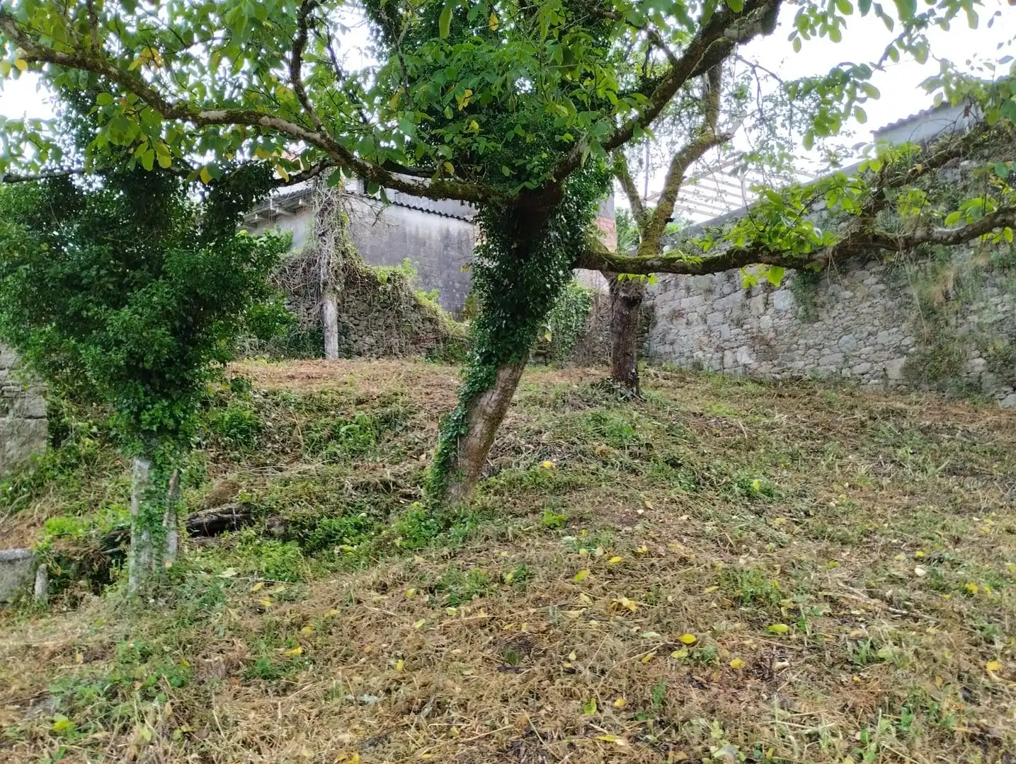 Finca rústica en venta en Moraña