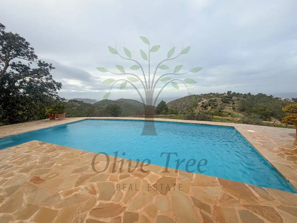 Swimming pool of Houses for rent in Sant Joan de Labritja  with Swimming Pool