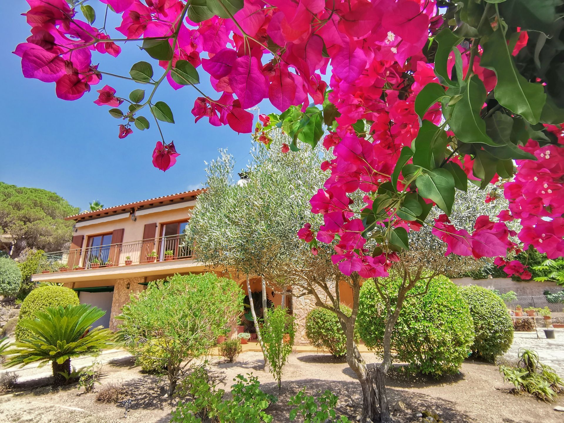 Jardí de Casa o xalet en venda en Lloret de Mar amb Calefacció, Jardí privat i Terrassa