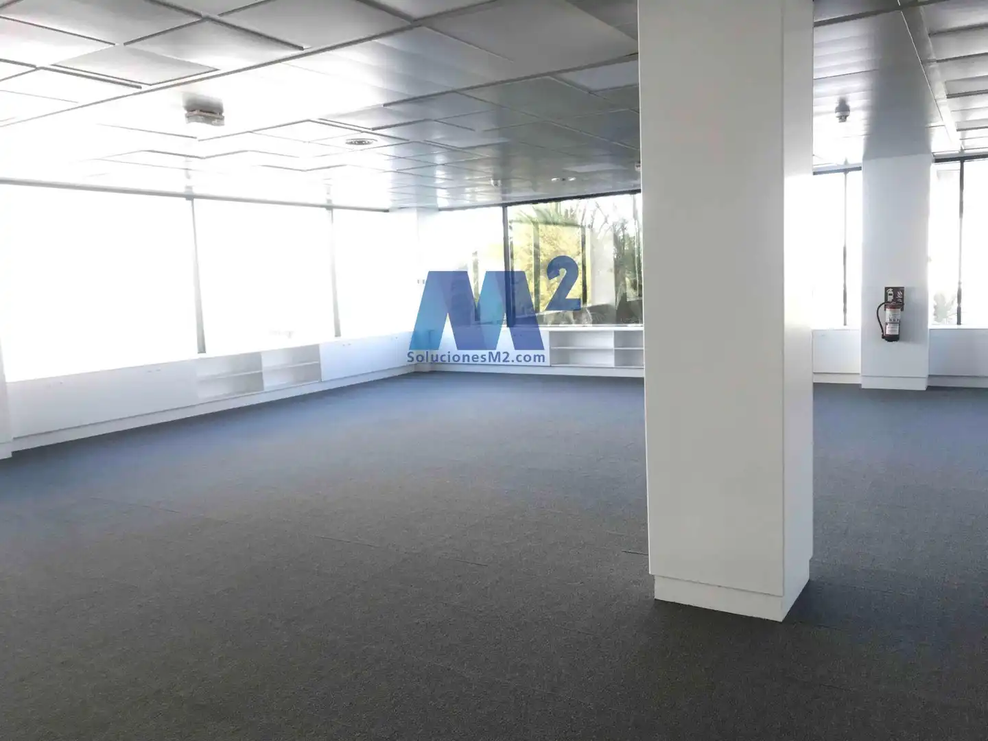 Office space to rent in Europa, imagen 6