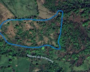 Land for sale in Riosa