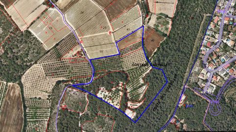 FINCA RUSTICA DE 5 HECTÁREAS EN PERAFORT, immagine 2