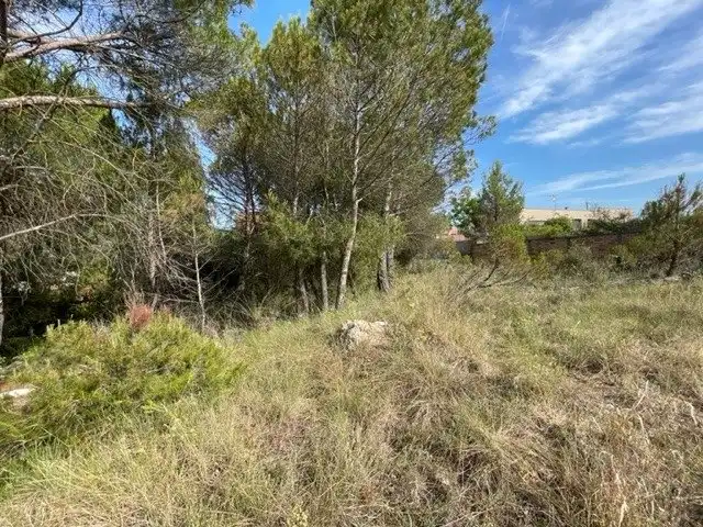 Lands and plots for sale in La Pobla de Claramunt, imagen 4
