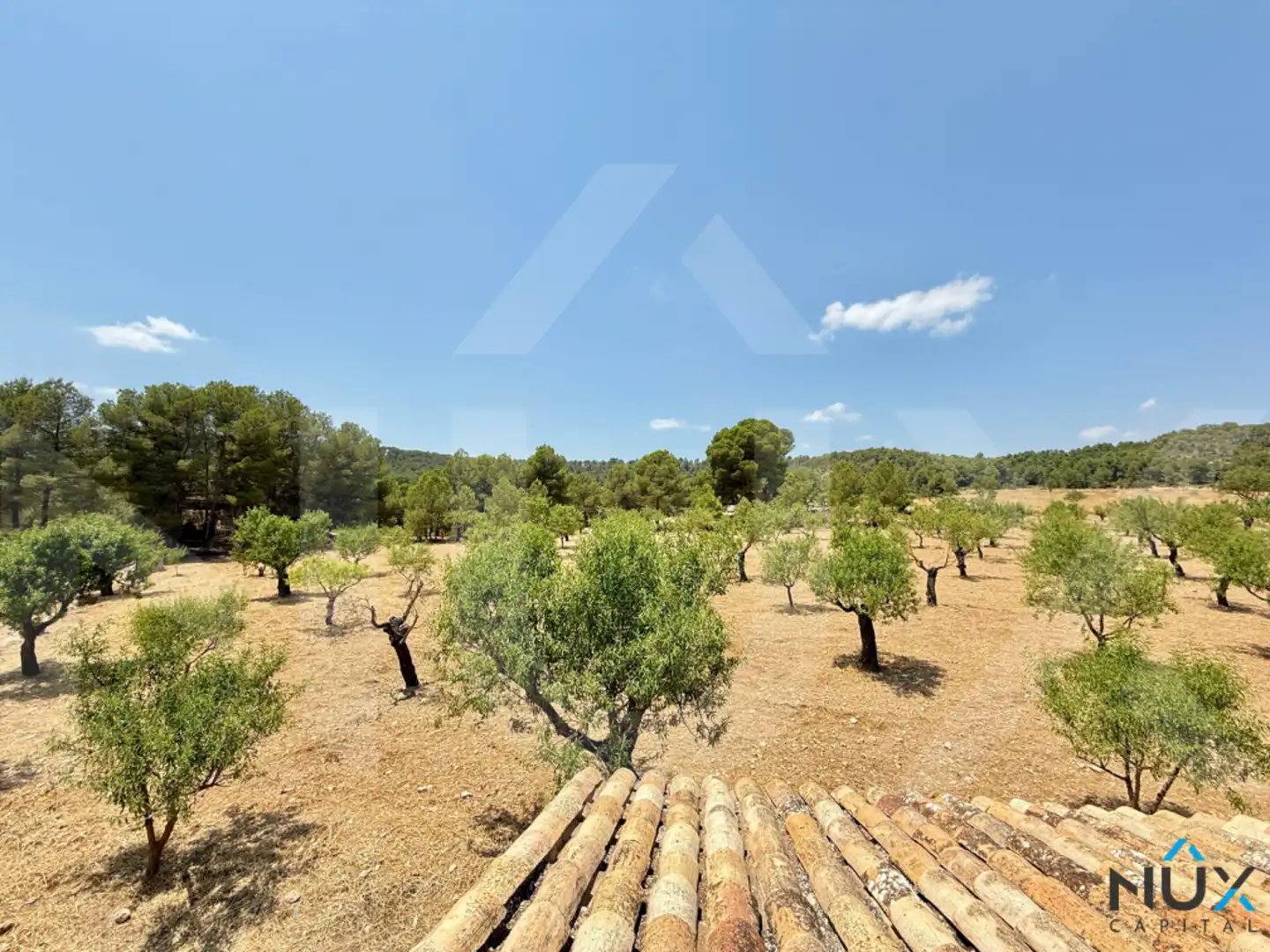 Casa o xalet en venda a N-330, Cofrentes