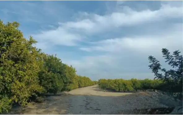 Terreny rústic en venda a Santa Bàrbara, imagen 6
