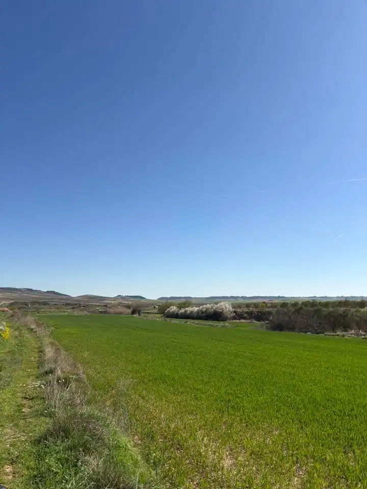Rustikales Grundstück zum Verkauf in Villamediana de Iregua, imagen 4