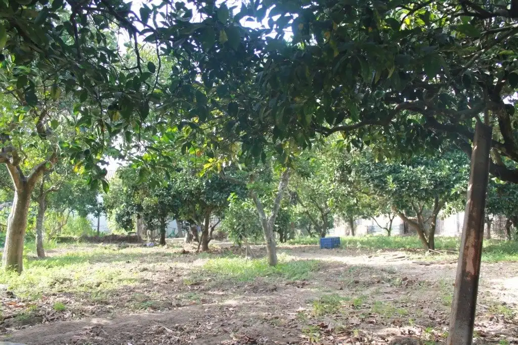Casa o xalet en venda en San Martín del Tesorillo amb Calefacció, Jardí privat i Terrassa