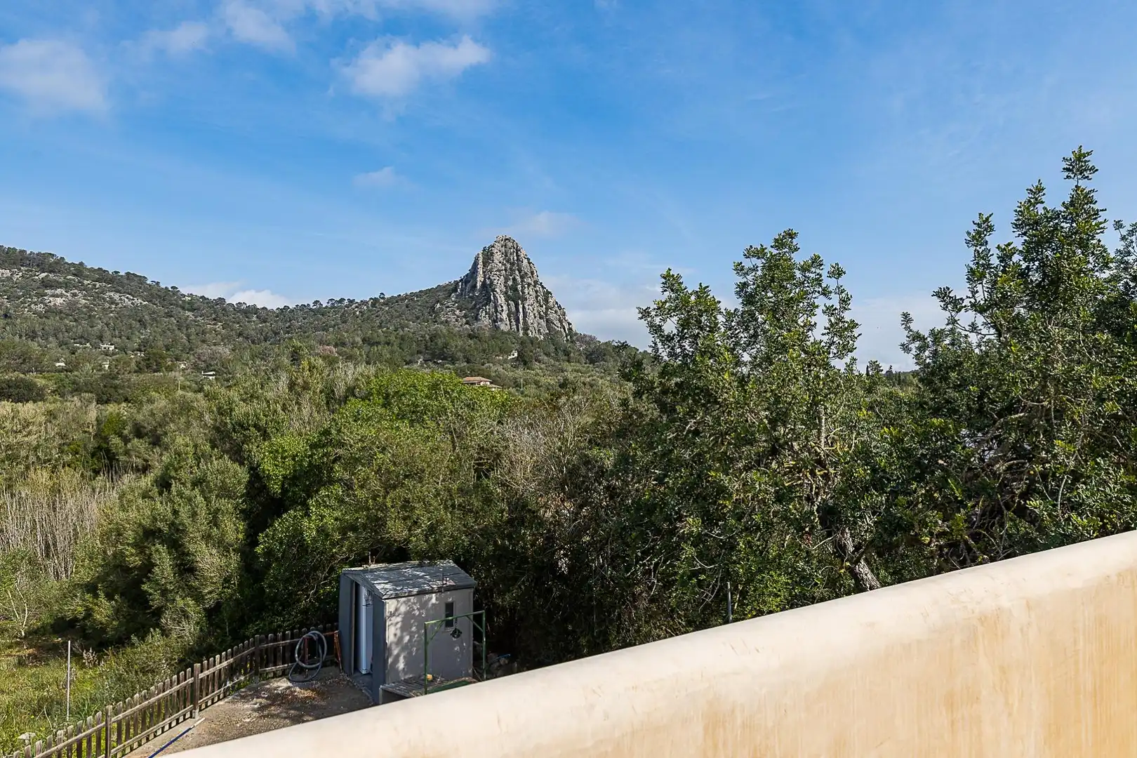 Finca rústica de alquiler en Llucmajor pueblo