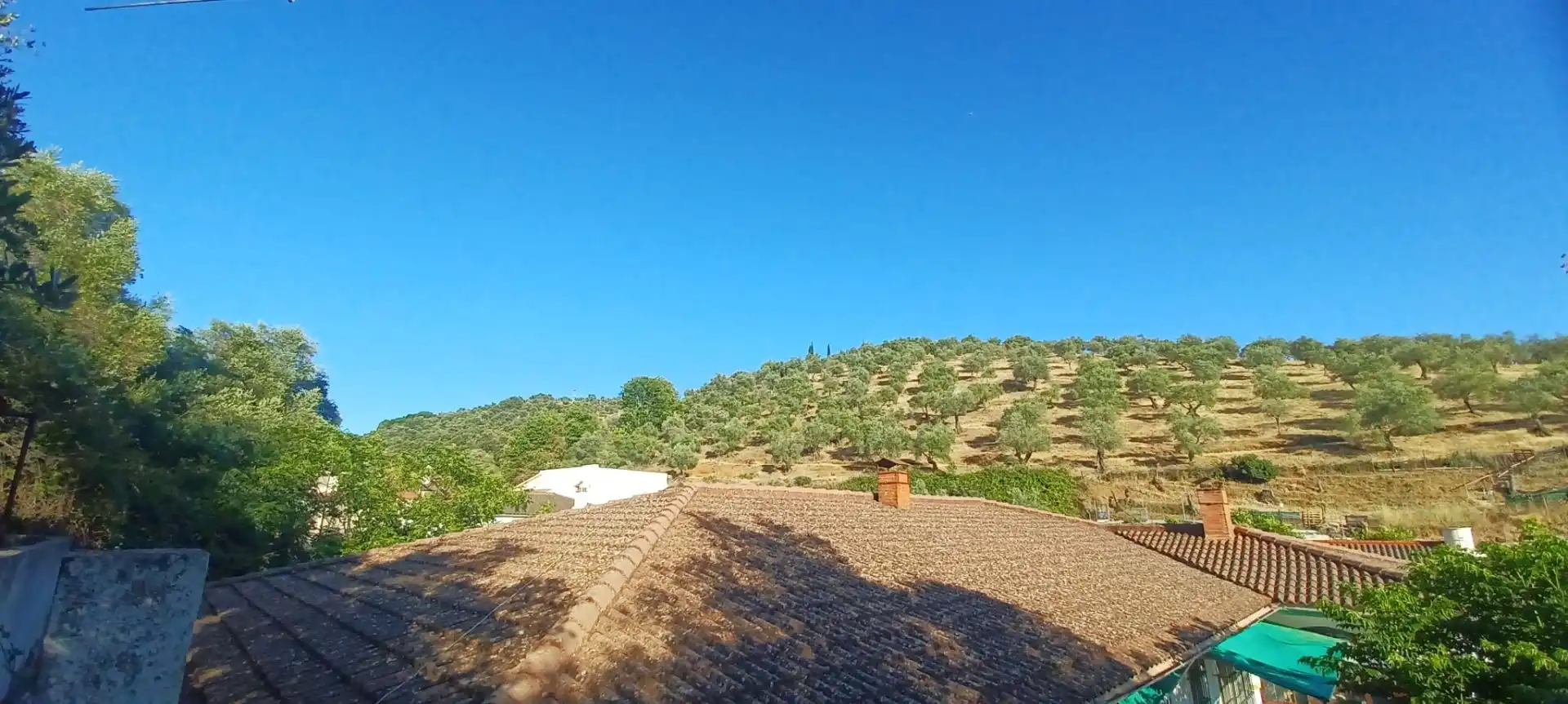 Casa amb jardí en venda a Constantina, imagen 46