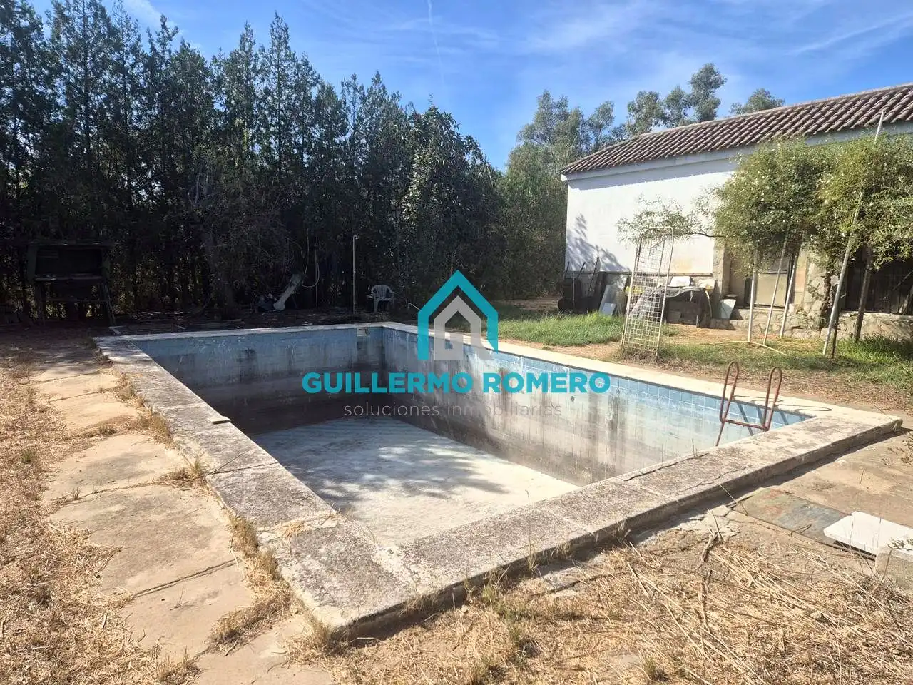 Piscina de Finca rústica en venta en La Puebla del Río